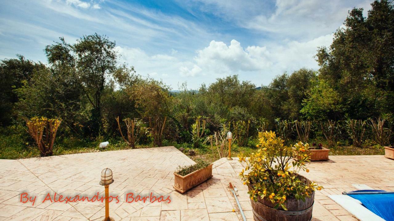 Bourikos House Corfu Lägenhet Áno Korakiána Exteriör bild