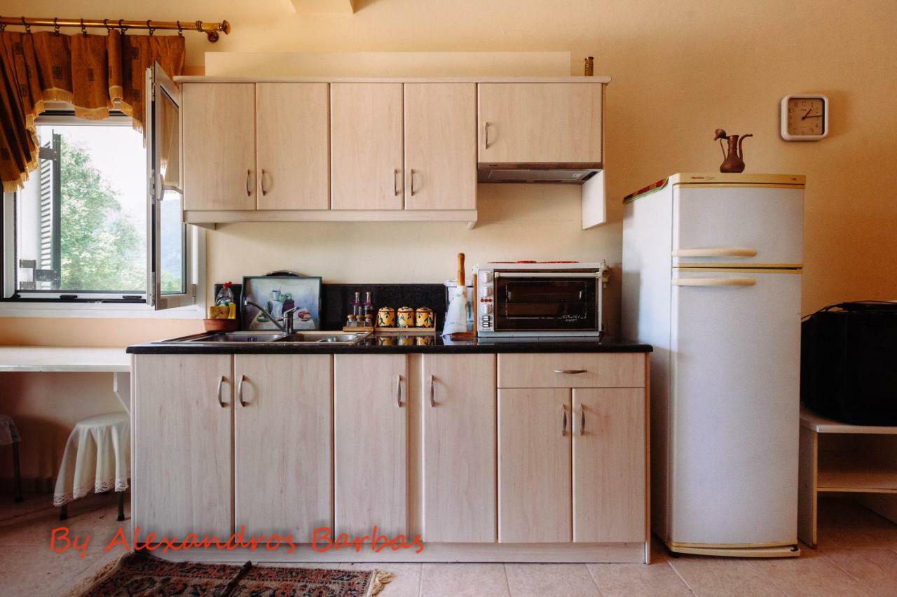 Bourikos House Corfu Lägenhet Áno Korakiána Exteriör bild